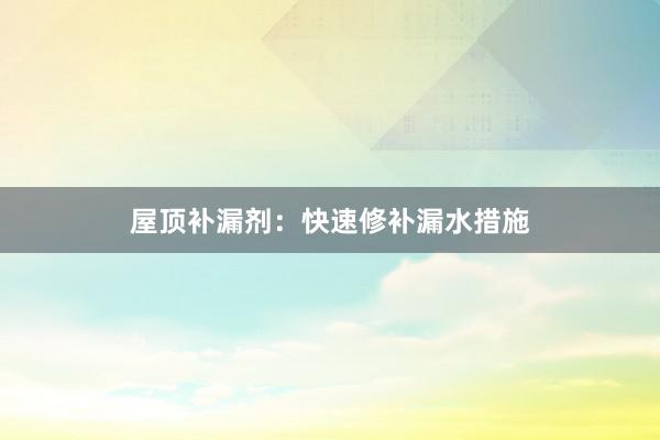 屋顶补漏剂：快速修补漏水措施